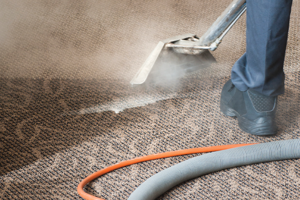 Carpet Cleaning